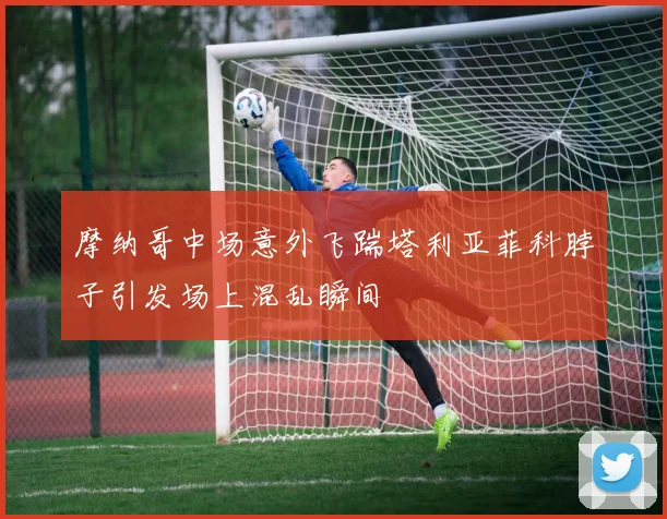 摩纳哥中场意外飞踹塔利亚菲科脖子引发场上混乱瞬间