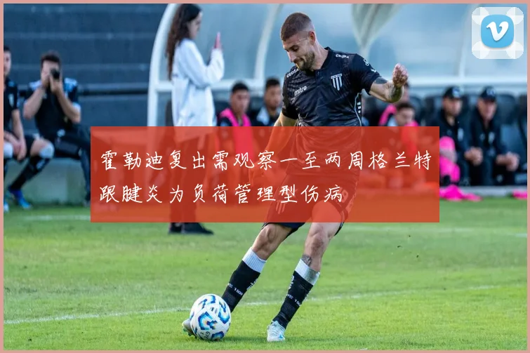 霍勒迪复出需观察一至两周格兰特跟腱炎为负荷管理型伤病
