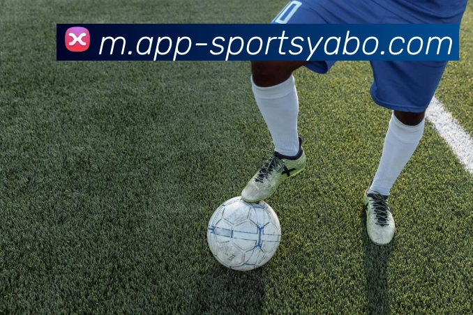 App Interface Preview