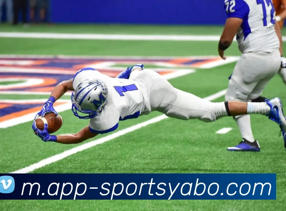 亚博体育APP 封面图